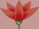 Malabar flower logo